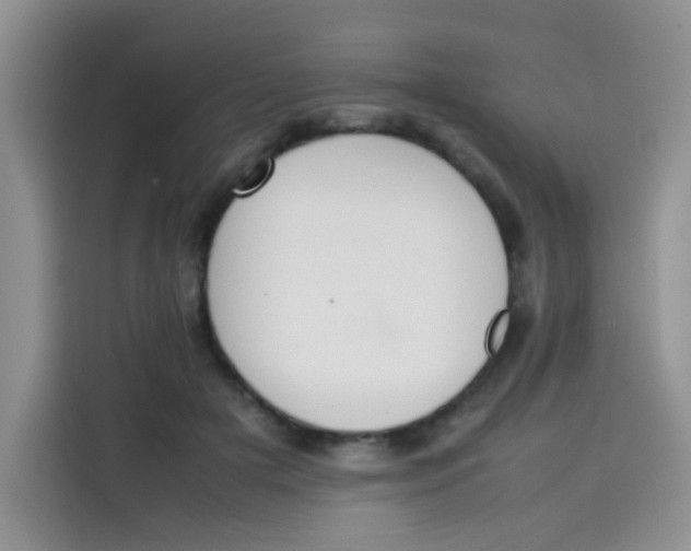 X0000113780505200910141041