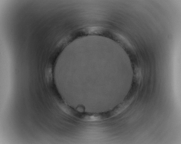 X0000113780506200910141041