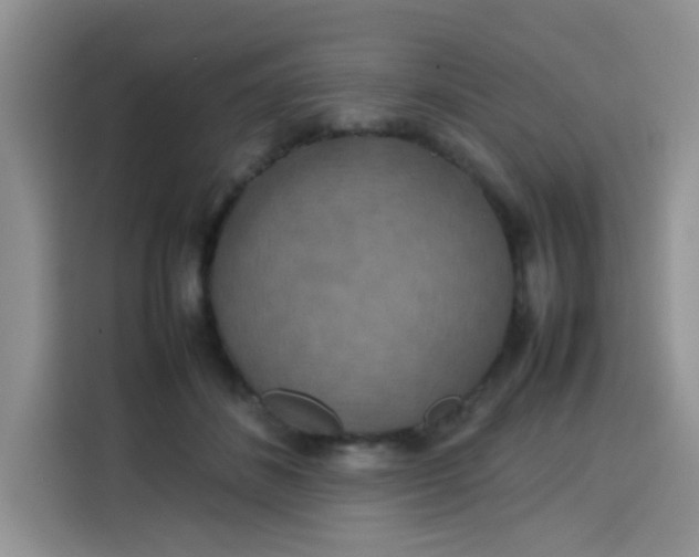 X0000113780508200910141041