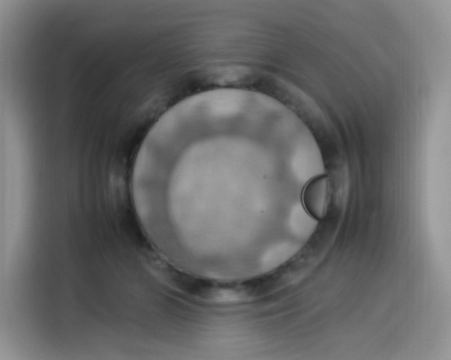 X0000113780510200910141041