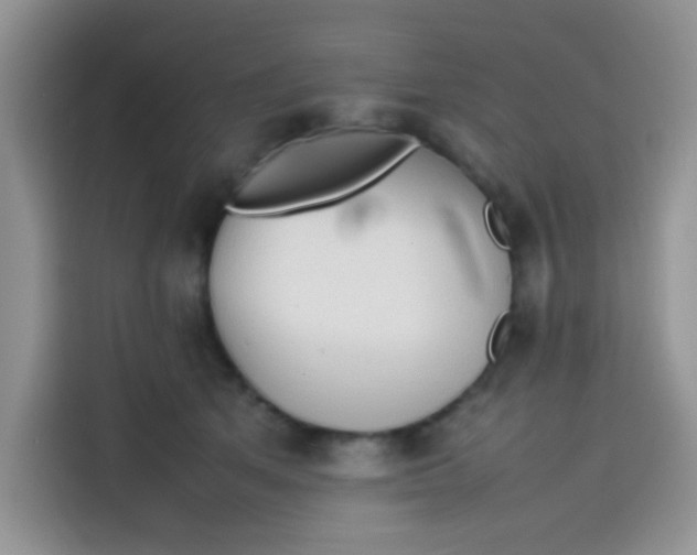 X0000113780513200910141041