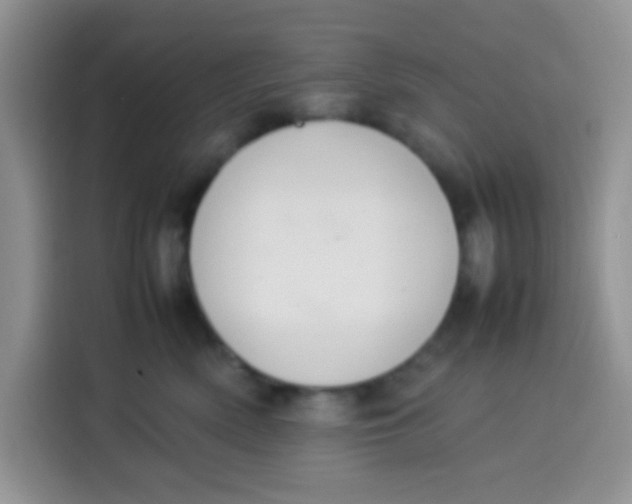 X0000113780522200910141041