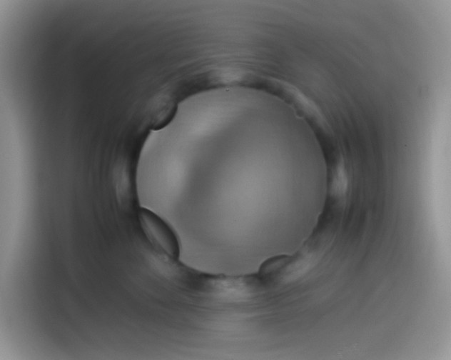 X0000113780524200910141041