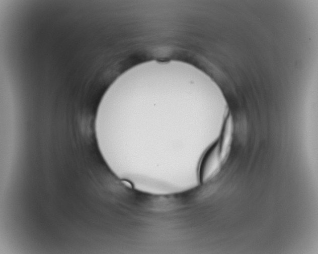 X0000113780525200910141041