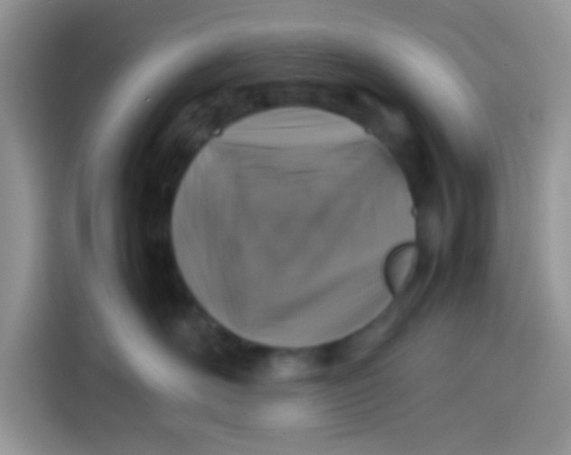 X0000113780526200910141041