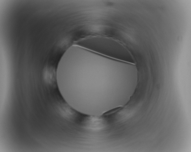 X0000113780528200910141041