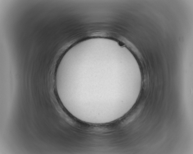 X0000113780529200910141040