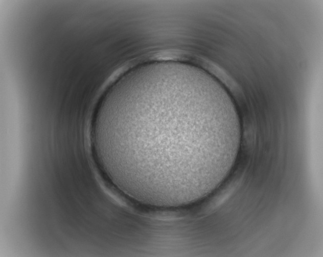 X0000113780530200910141040