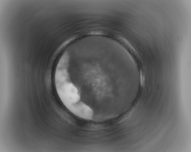 X0000113780531200910141040