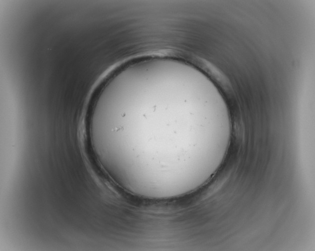 X0000113780532200910141040