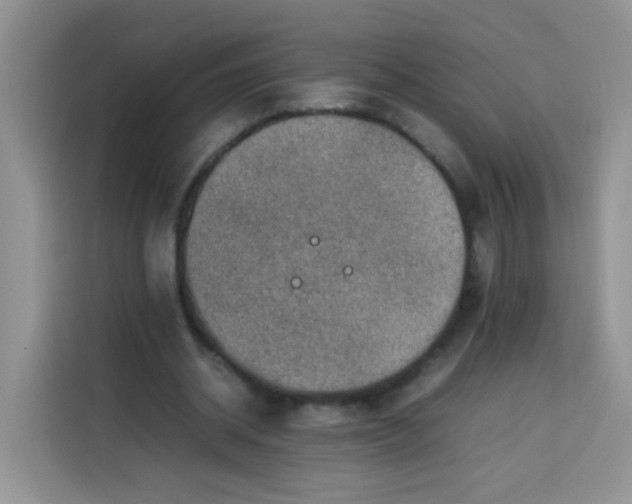 X0000113780534200910141040