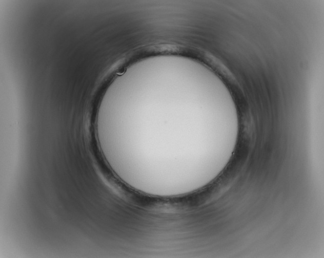 X0000113780538200910141040