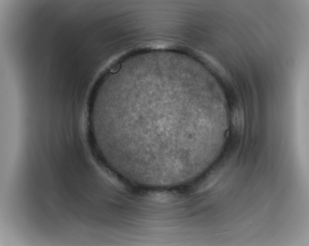 X0000113780540200910141040