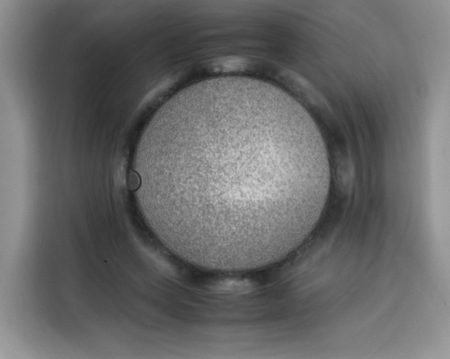 X0000113780543200910141040