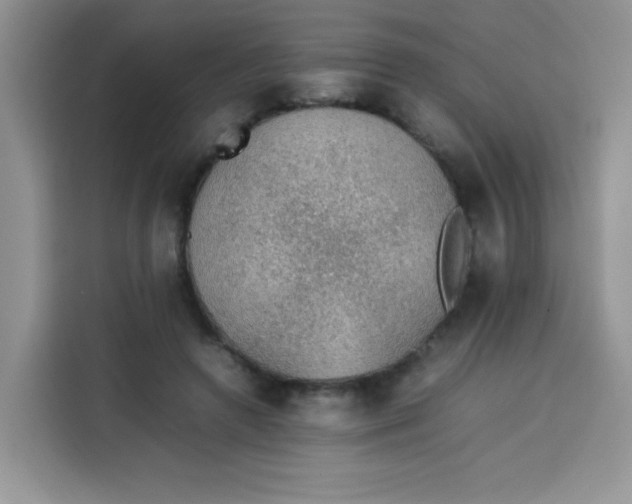 X0000113780546200910141040