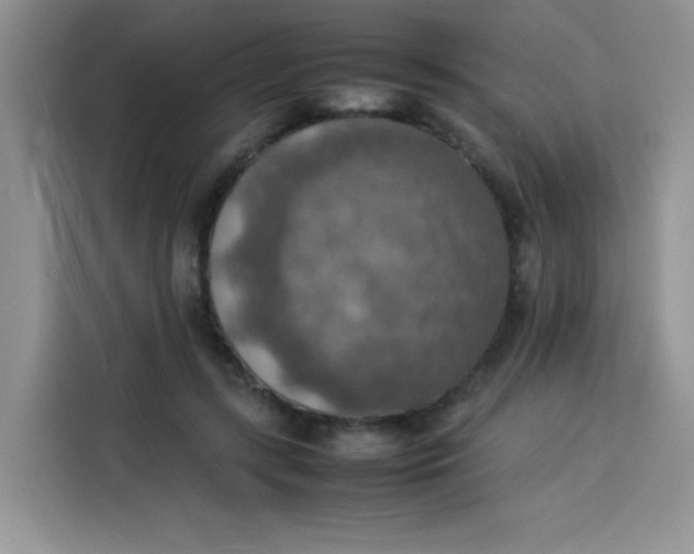 X0000113780547200910141040