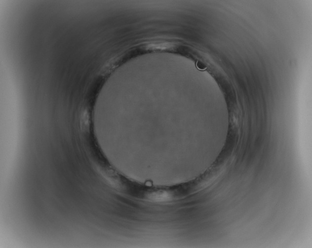 X0000113780551200910141040