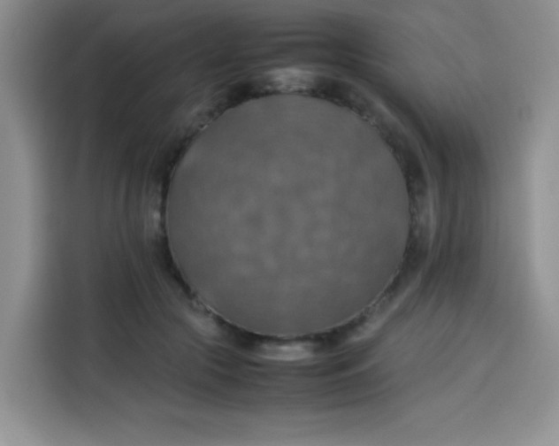 X0000113780553200910141040