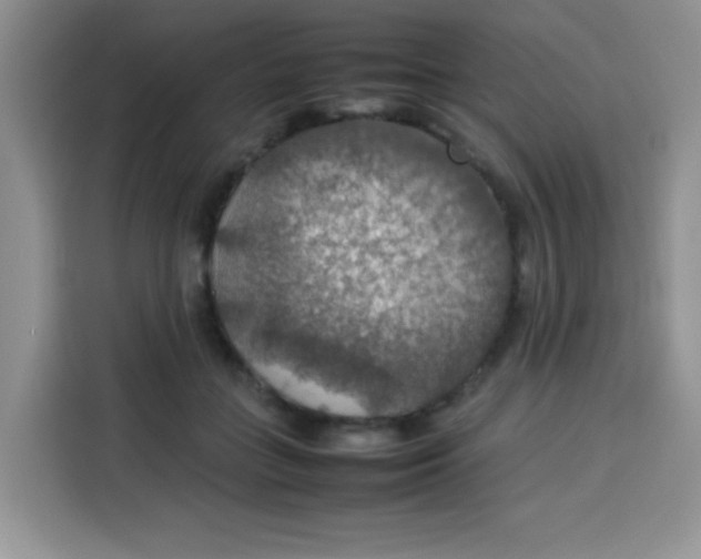 X0000113780555200910141040