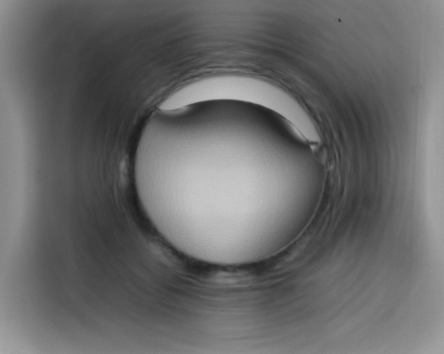 X0000113780556200910141040