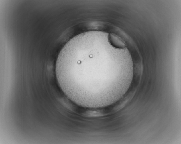 X0000113780557200910141040