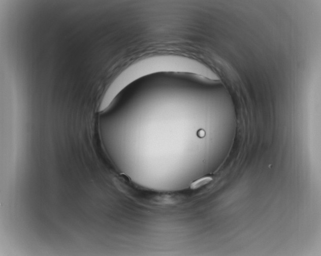 X0000113780558200910141041