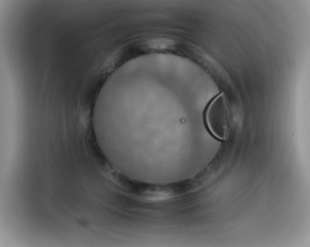 X0000113780559200910141041