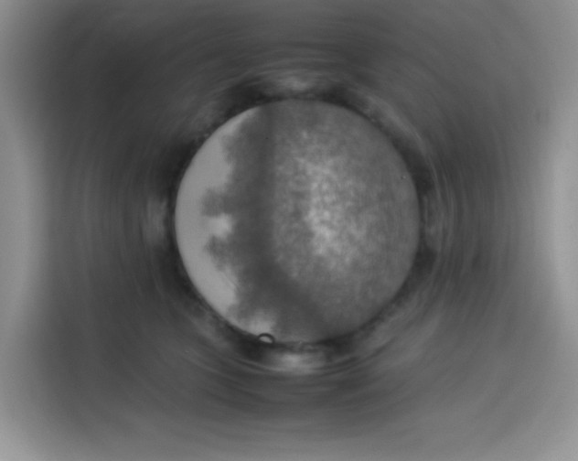 X0000113780563200910141041