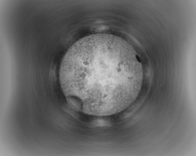 X0000113780565200910141041