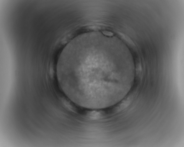 X0000113780566200910141041