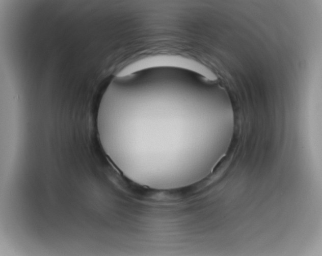 X0000113780568200910141041