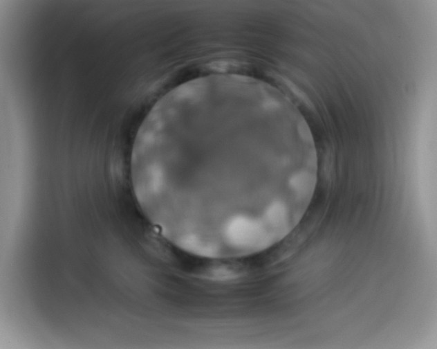 X0000113780569200910141041