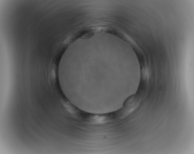 X0000113780570200910141041