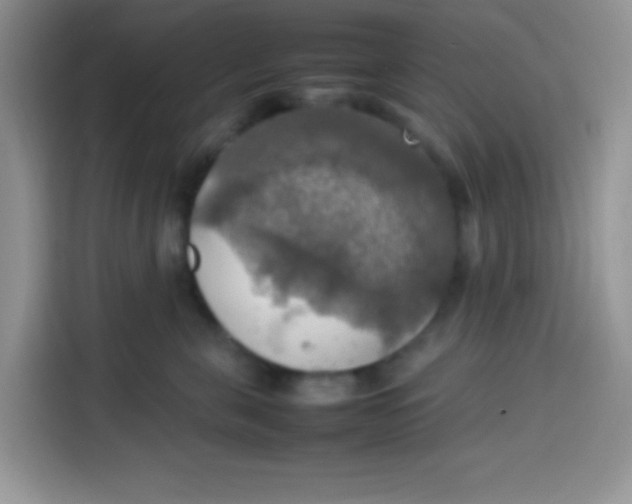 X0000113780571200910141041