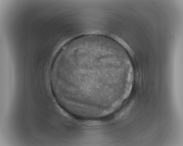 X0000113780577200910141040