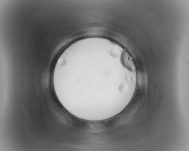 X0000113780579200910141040