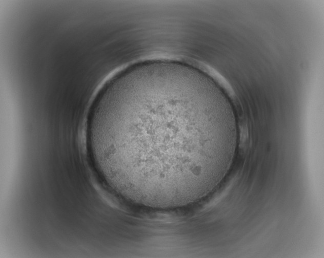 X0000113780580200910141040