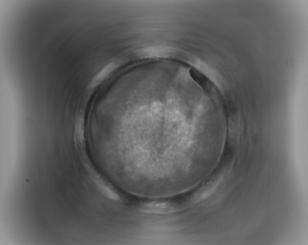 X0000113780581200910141040