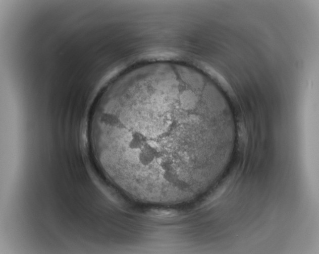 X0000113780582200910141040