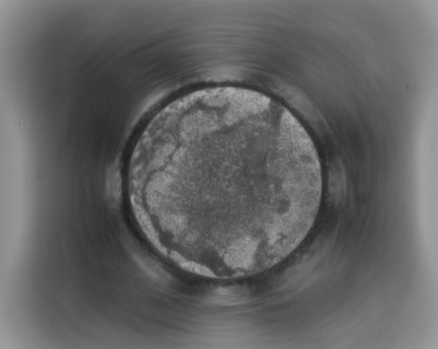 X0000113780584200910141040