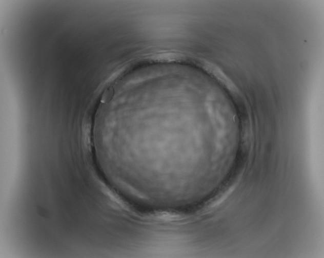 X0000113780585200910141040