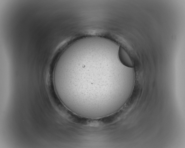 X0000113780587200910141040