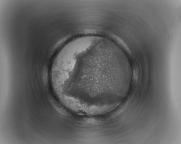 X0000113780588200910141040