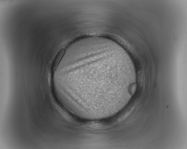 X0000113780589200910141040