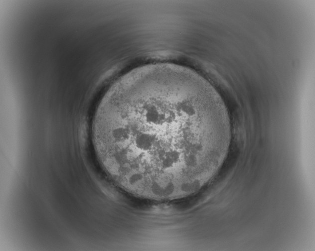 X0000113780591200910141040