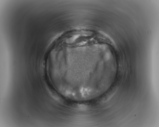 X0000113780592200910141040