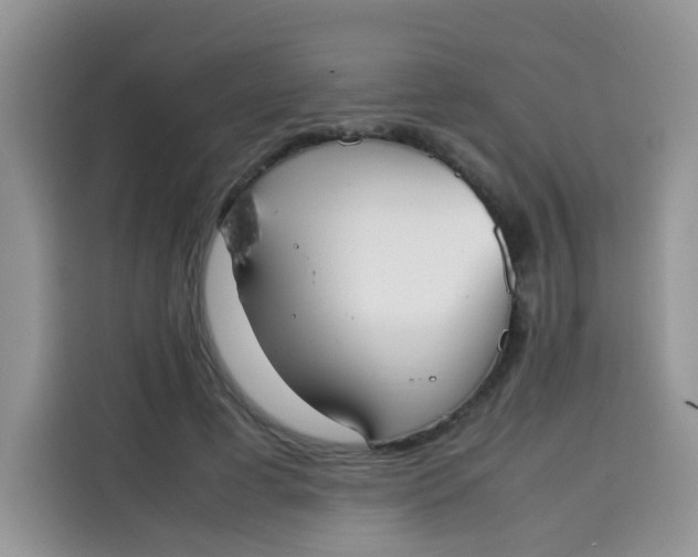 X0000113780593200910141040