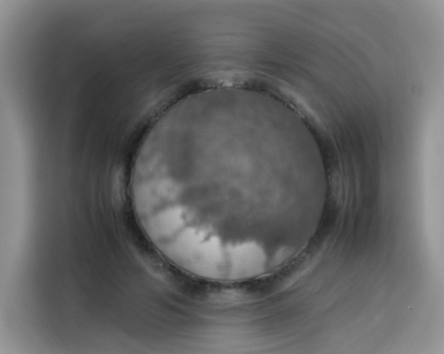 X0000113780594200910141040