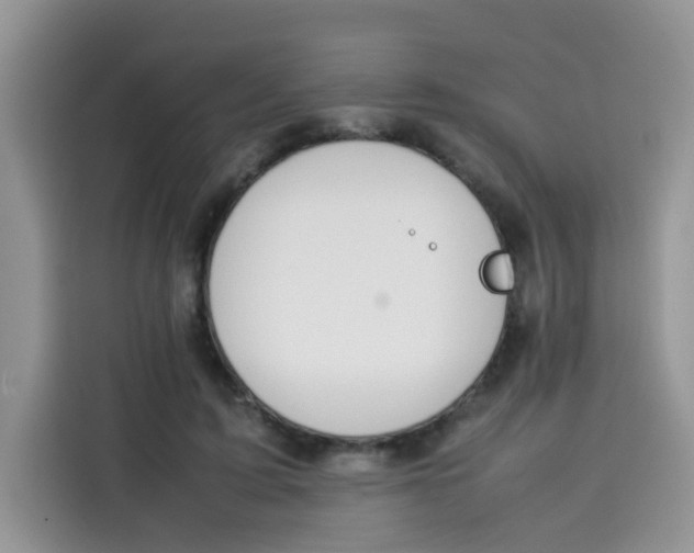 X0000113780595200910141040