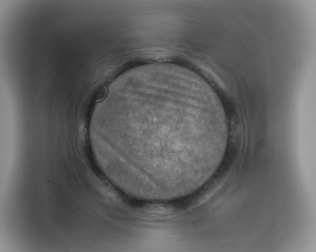 X0000113780597200910141040